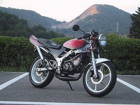 有名車両NS-1ファイアーパターン外装(タンクは未塗装です) NS-1をZⅡ仕様に考えてたのですがどうもN1はタンクを移植したり