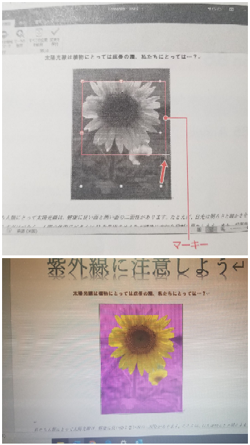 wordよくわかるマスターとかいうクソ分かりづらいmosのテキストには 