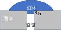 毛細管現象について教えてください よくネット記事などで見る毛 Yahoo 知恵袋