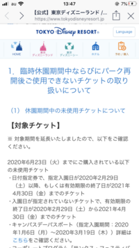 ディズニーのナイトパスって何ですか 調べても全然出てこない Yahoo 知恵袋