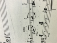 モデラートアッサイの意味を教えてください 音楽記号 これイタリア語です Yahoo 知恵袋