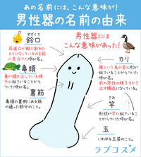 スタンリーコーエン勃起不全