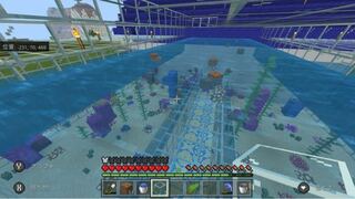 Switchのminecraftで水族館でよくあるトンネルがある水槽みたいな Yahoo 知恵袋