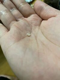 今さっきお米とごうとしたところ かけてるお米を見つけました 虫に食べら Yahoo 知恵袋