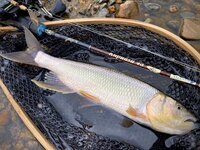 琵琶湖のケタバスのシーズンはいつぐらいですか 湖西の河口で狙いたい Yahoo 知恵袋