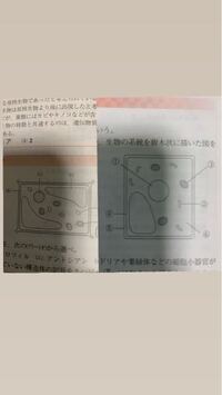 中学生の職業体験 納得いかない 中学生の娘がおります 今 Yahoo 知恵袋