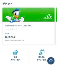 ディズニーチケットのこの日付の下の番号ってどんな意味があるのですか Yahoo 知恵袋