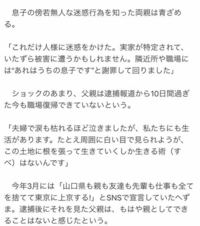 ドラクエ8で おおどろぼうの鎌 が成功すると ちゃんと表示されるのでし Yahoo 知恵袋