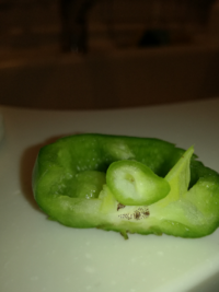 古いピーマンを切ったら種が茶色になっていたのですが 食べられます Yahoo 知恵袋