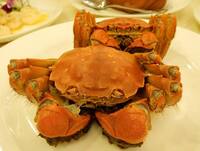 上海蟹って食べた事ありますか 美味しいんですか 上海住みです Yahoo 知恵袋