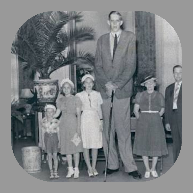 ロバートワドロー氏 身長272cm が生きてたとして もしも温泉に来たらどう Yahoo 知恵袋