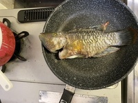 魚 ベラですよね 釣ってすぐに塩焼きにしたところ白身から粘り気 Yahoo 知恵袋