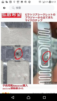 どこにマイクロチップが仕込まれているか 分からなくなってます通販のものは Yahoo 知恵袋