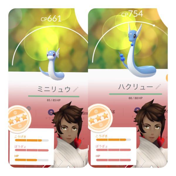 このミニリュウとハクリューどっちをカイリューにしたらいいと思いますか Yahoo 知恵袋