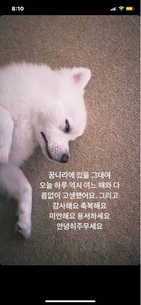 韓国語で はじめまして よろしくお願いします ハナコンブ