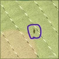 2月17日にswitch版テラリアのアプデが来ましたがアプデ後でエンチャ Yahoo 知恵袋