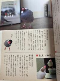 読書感想文でマスカレードホテルの内容を書くのですが 書き始めとどんなことを書け Yahoo 知恵袋