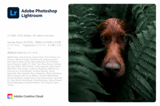 写真加工の Lightroom について質問です アプリを開くと犬 Yahoo 知恵袋