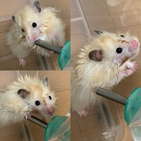 飲み物を飲むのが異様に下手なのですが なにか原因があるのでしょうか 冗 Yahoo 知恵袋