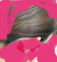 ライブ参戦の時のヘアアレンジについて ボブのヘアアレンジで 写真の左 Yahoo 知恵袋