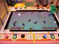 札幌 メダルゲームで キッズ屋台村金魚すくい の台がおいてあるゲームセン Yahoo 知恵袋