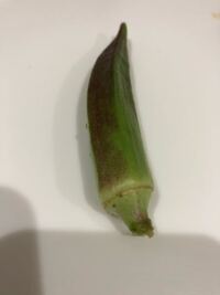 今日庭でオクラを収穫しました 一つだけ茶色に変色しているオクラが採 Yahoo 知恵袋
