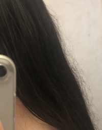 髪の毛はストレートなのにアホ毛 というか髪の表面に層のように毛がで Yahoo 知恵袋