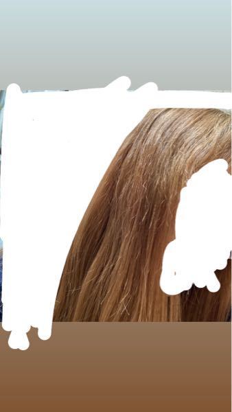 髪の英語 ヘアカラー 色落ち グラデーション インナーカラー Etc Haleng ハレング