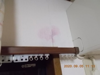 最近気づいたのですが 壁紙に写真のようなピンク色のシミのようなものが出てきまし Yahoo 知恵袋