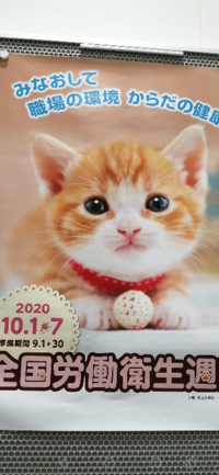 工場で働いてます このポスターを貼られてます可愛らしい猫ちゅんでもリアル Yahoo 知恵袋