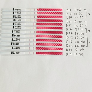 今回初めて排卵検査薬 ラッキーテスト を使っています タイミングの Yahoo 知恵袋