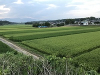 名古屋住みの自分ですが 行った事のない都道府県が 徳島県 高知県 大分県 沖 Yahoo 知恵袋