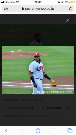 大型野球選手 ラガーマン アメフト選手 プロレスラーなどって体脂肪 Yahoo 知恵袋