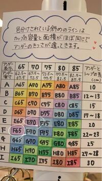バストについての質問です 不快な気持ちにさせてしまったらすみま Yahoo 知恵袋