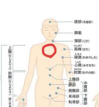 胸の中央 写真の部分 がいきなり痛みます 18歳女です 今日 いきな Yahoo 知恵袋