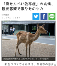 男性が自転車乗って鹿煎餅