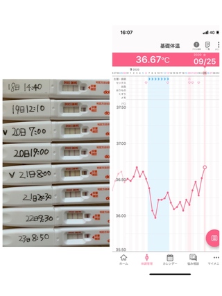 6月から妊活始めて5週期目です 排卵検査薬使ってるのですが中々妊娠しません Yahoo 知恵袋