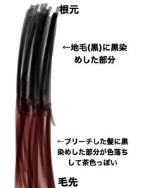 2ヶ月ほど前に黒染めしたんですけど ブリーチしたとこだけでなく新しく伸びてき Yahoo 知恵袋