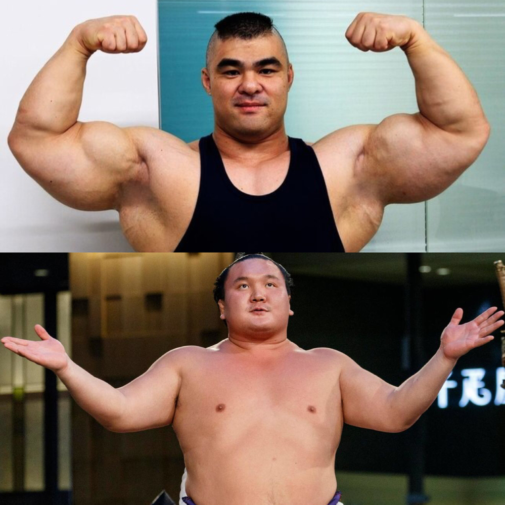 力士の方の事で素朴な質問です ボディビルダーの人は筋トレなどをして Yahoo 知恵袋