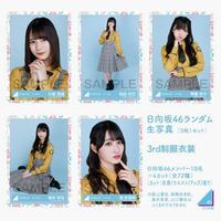 こういうアイドルの生写真って、どれくらい買ったら全部コンプ
