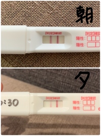 妊娠検査薬について 体調不良が続いていたため 高温期10日目 フライング検査 Yahoo 知恵袋