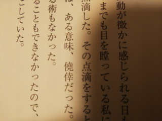 この ある意味 だった の部分の は なんと読むのですか 僥倖ぎ Yahoo 知恵袋