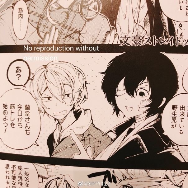 文豪ストレイドッグスのこのおまけ話みたいなのは何巻に載ってますか