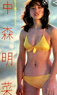 今の時期に合わせて中森明菜さんの真夏のファッションを載せて下さい Yahoo 知恵袋