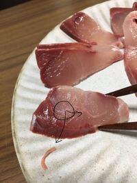 ヤズ ハマチ ブリなのですがこれは寄生虫ですか 刺身は危ない Yahoo 知恵袋