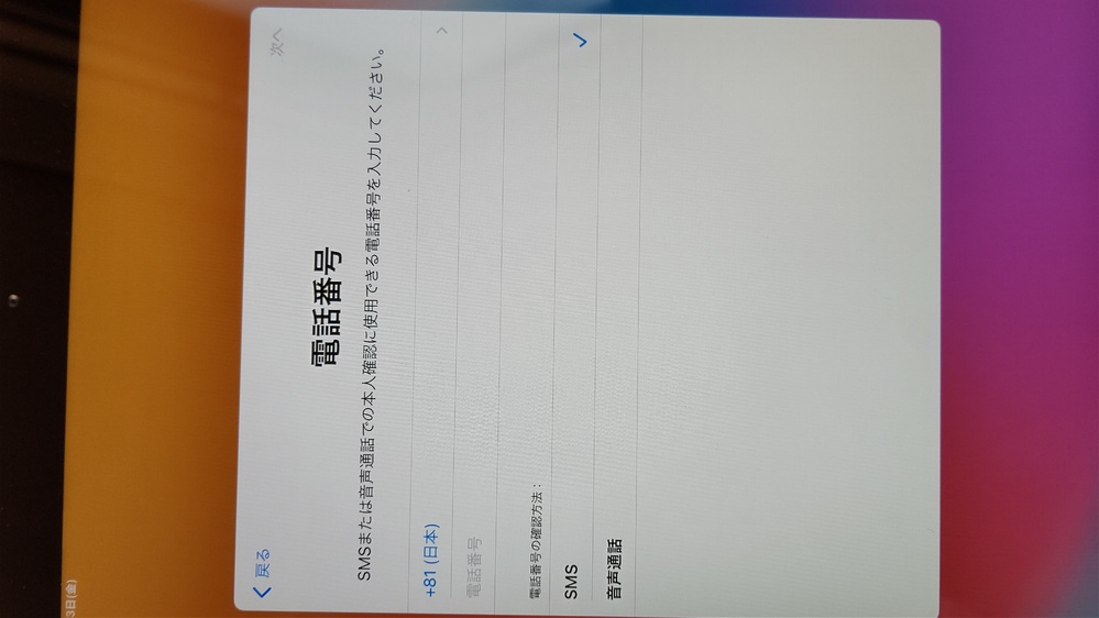 新しくiPad第8世代のWiFiモデルを買って今初期設定をしていたら電話