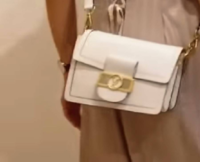 これどこのブランドのバッグかわかりますか？ ブランド品じゃないってことも考えられますが、お金持ちのYou Tuberの方なので恐らくブランド品だと思います。