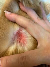 審査 ゼロ すむ