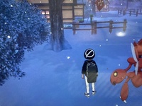 ポケモン剣盾の冠の雪原に関する質問です 伝説の三闘のイベントを起こ Yahoo 知恵袋