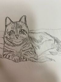 自由に絵を描くのは好きだけど デッサンが嫌い という方います Yahoo 知恵袋